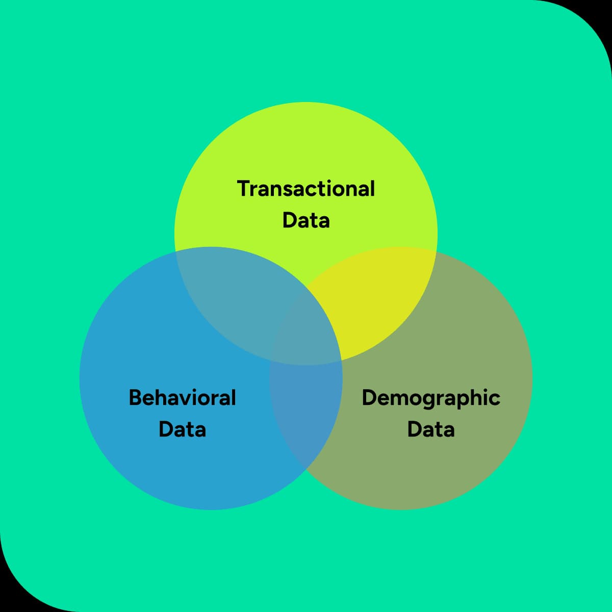 Customer lifetime value software